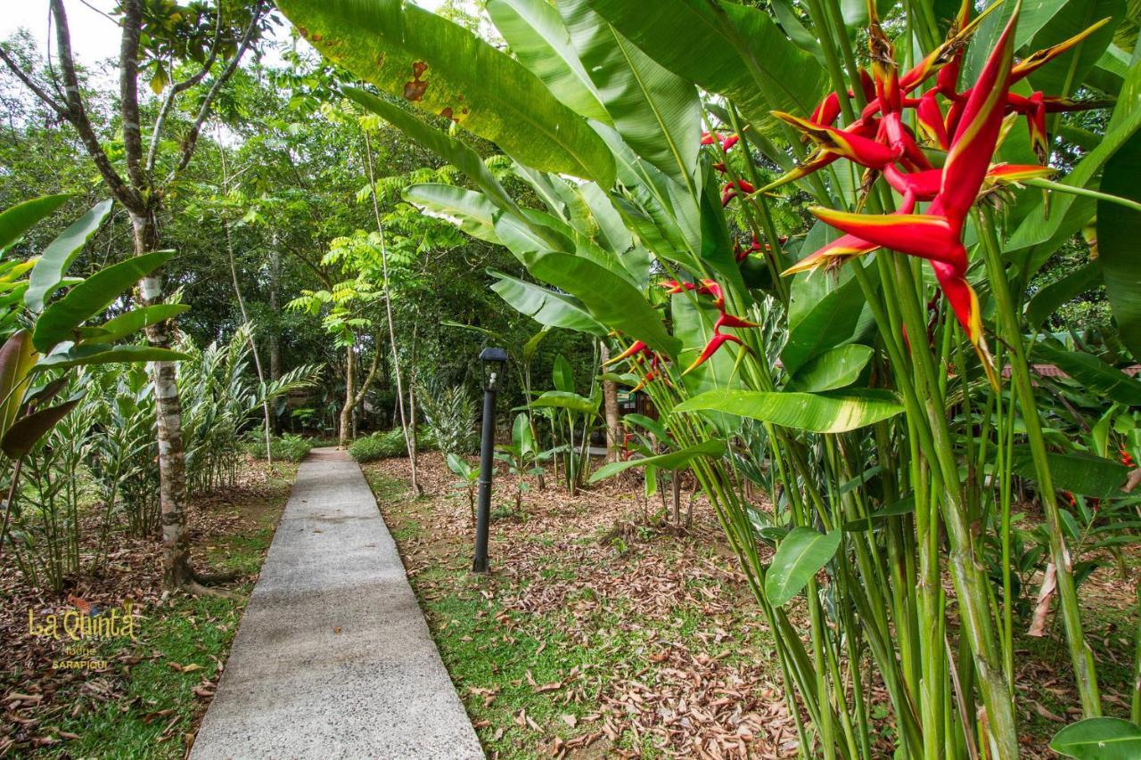La Quinta Sarapiqui Lodge ภายนอก รูปภาพ